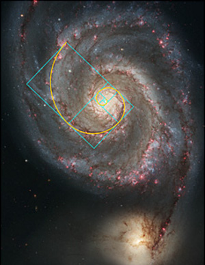 Illustration for article titled 15 Uncanny Examples of the Golden Ratio in Nature